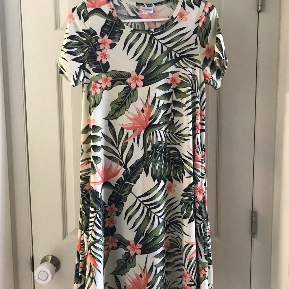 BNWOT XS Lularoe Jesse Dress! Unicorn 🦄